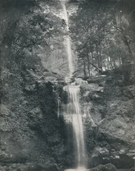 La cascada de Emu Vale, siglo XIX