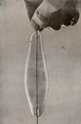 La primera lámpara eléctrica incandescente, c1916