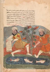 El pez y el pescador, folio de un Kalila wa Dimna