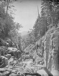 La Flume, Montañas Blancas de Franconia, N.H., c. 1897