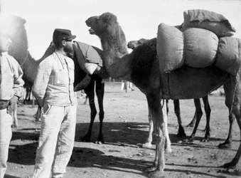 La Legión Extranjera Francesa en maniobras, Boudenib, Marruecos, 1911