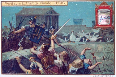 Los Gansos de la Capital, tarjeta comercial continental de Liebig, c1900