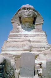 La Gran Esfinge de Giza, Meseta de Giza, Egipto