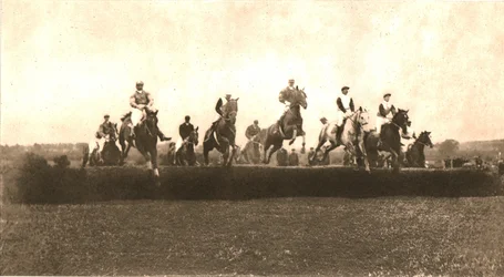 La Copa de Caza, Punchestown