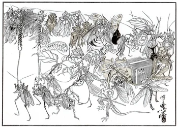El Cortejo del Daimio Insecto
