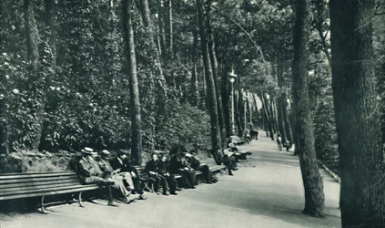 El paseo de los inválidos, c. 1910