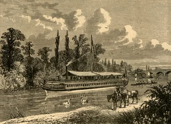 El Bosque de María