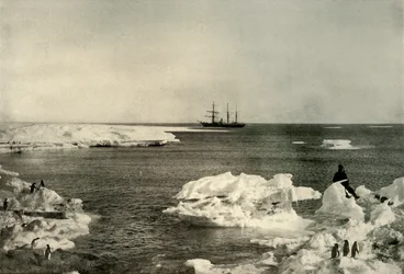 El Nimrod frente a la pingüinera