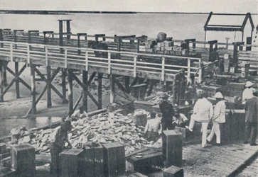 La industria de la pesca de perlas - Empaque de conchas, 1923