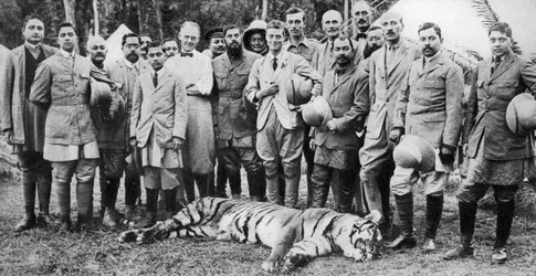 El Príncipe de Gales cazando tigres en Nepal, el Tour de la India, 1921
