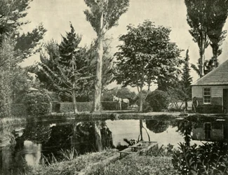 Los estanques de salmón, New Norfolk, 1901