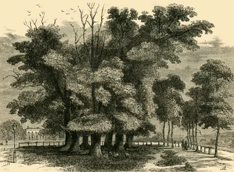 Las Siete Hermanas, en 1830, c1876