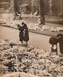 El funeral de estado del Rey Jorge V en Windsor: coronas de flores, 1936