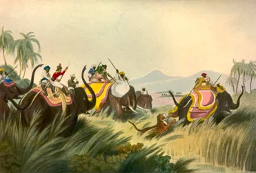 La caza del tigre