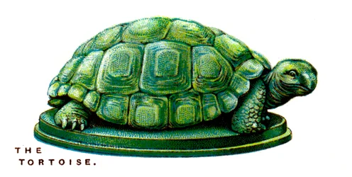 La tortuga, 1923