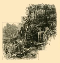 Los jardines tropicales, Battersea Park, c. 1878