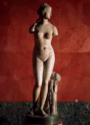 La Venus Tauride o Venus de Tauris, siglo II d.C.