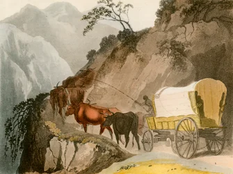 El camino del Voortrekker, 1931
