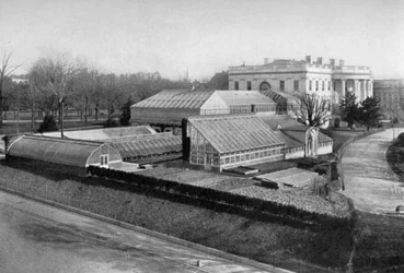 La Casa Blanca y los invernaderos, Washington DC, EE.UU., 1908