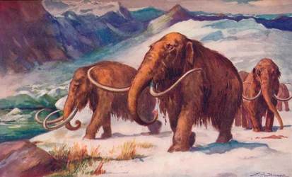 La temprana Edad de Hielo, cuando los mamuts vagaban por la Tierra y el Hombre surgía, 1907