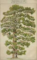 El árbol genealógico de Mikhail Lermontov