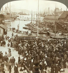 El puerto, N.O. desde la plaza del mercado en Bergen, el mayor mercado de pescado de Noruega, c1905