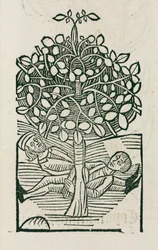El árbol narcótico 