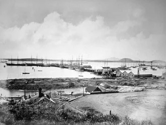 El puerto, Auckland, Nueva Zelanda, c1870-1880