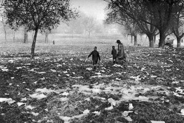La basura dejada en Hamstead Heath después de un día festivo, Londres, 1926-1927