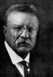 Theodore Roosevelt, 26º Presidente de los Estados Unidos, 1933