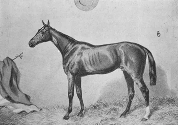 Thormanby
