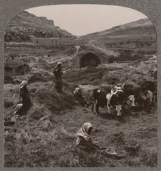 Trillando grano cerca del Pozo de Jacob, c. 1900