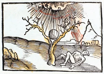 Rayo o relámpago