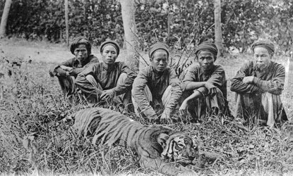 Cazadores de tigres, Tonkín, Vietnam, siglo XX