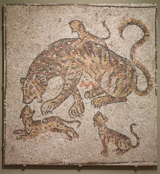 Tigresa y Cachorros, siglo III
