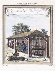 Fábrica de tabaco, 1780