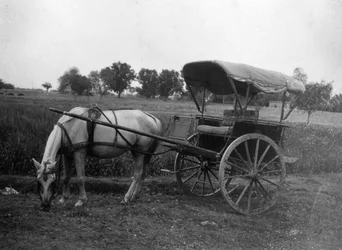 Carro de caballos Tonga, Muttra, India, 1917
