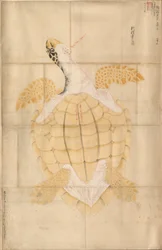 Tortuga, siglo XVIII