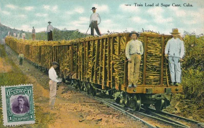 Carga de tren de caña de azúcar, Cuba, 1911