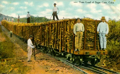 Carga de tren de caña de azúcar, Cuba, c. 1910s