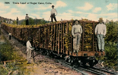 Carga de tren de caña de azúcar saliendo del campo, Cuba, 1915