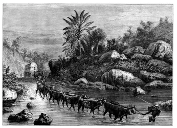 Viajando en Griqualand, Sudáfrica, c1890