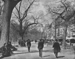 Calle Tremont y El Common, Boston, EE.UU., c1900