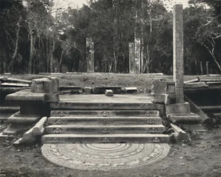 Escalera con representación de espíritus de la tierra, probablemente acceso a un árbol sagrado, Anuradhapura