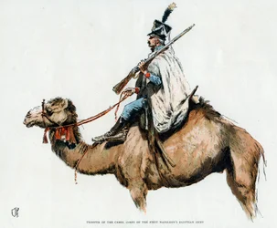 Soldado del cuerpo de camellos del Primer Ejército Egipcio de Napoleón, 1790s siglo XX