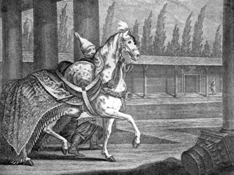 Caballo árabe del sultán turco, 1722 1938