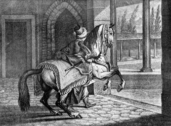 Caballo de silla árabe de los sultanes turcos, 1722, 1938