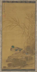 Dos patos entre juncos en la orilla, Ming o Qing, siglo XV-XVIII