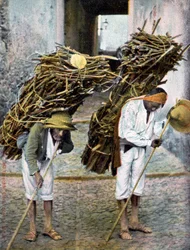 Dos hombres cargando fardos de madera en sus espaldas, México, principios del siglo XX