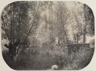 Paisaje sin título con perro, c. 1910